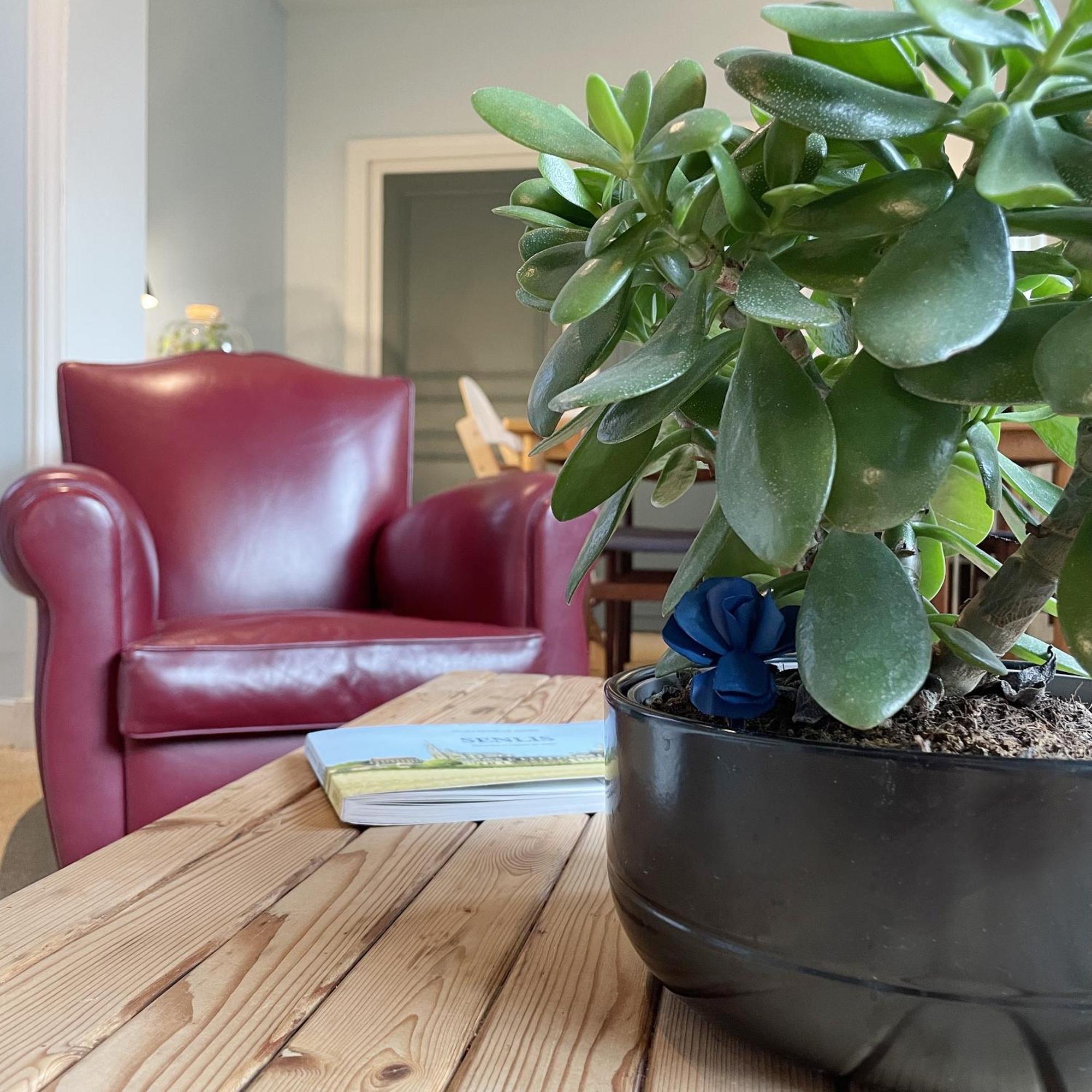 Apartamento La Maison Des Rues Pavees Avec Jardin By La Boite En Plus Senlis  Exterior foto